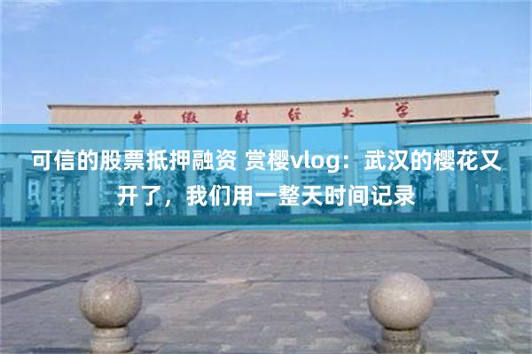 可信的股票抵押融资 赏樱vlog：武汉的樱花又开了，我们用一整天时间记录