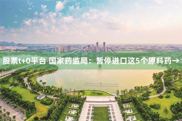 股票t+0平台 国家药监局：暂停进口这5个原料药→