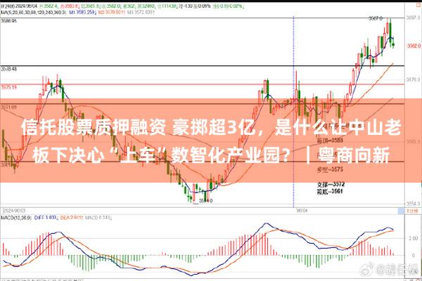信托股票质押融资 豪掷超3亿，是什么让中山老板下决心“上车”数智化产业园？｜粤商向新