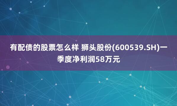 有配债的股票怎么样 狮头股份(600539.SH)一季度净利润58万元