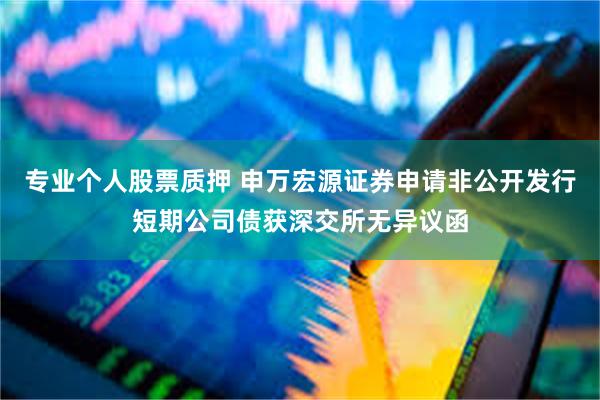 专业个人股票质押 申万宏源证券申请非公开发行短期公司债获深交所无异议函