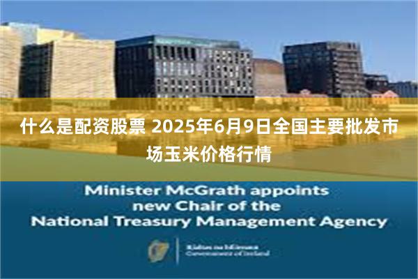 什么是配资股票 2025年6月9日全国主要批发市场玉米价格行情