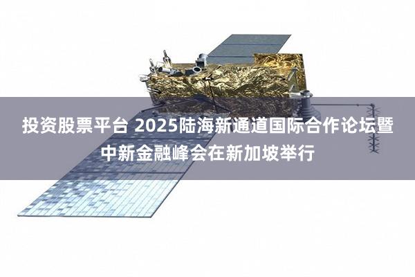 投资股票平台 2025陆海新通道国际合作论坛暨中新金融峰会在新加坡举行