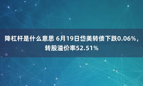 降杠杆是什么意思 6月19日岱美转债下跌0.06%，转股溢价率52.51%