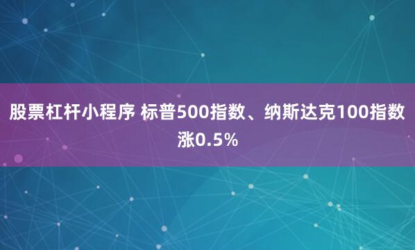 股票杠杆小程序 标普500指数、纳斯达克100指数涨0.5%